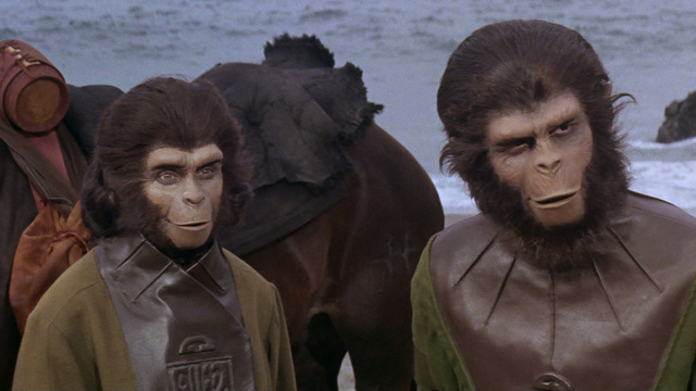 Planet of apes
