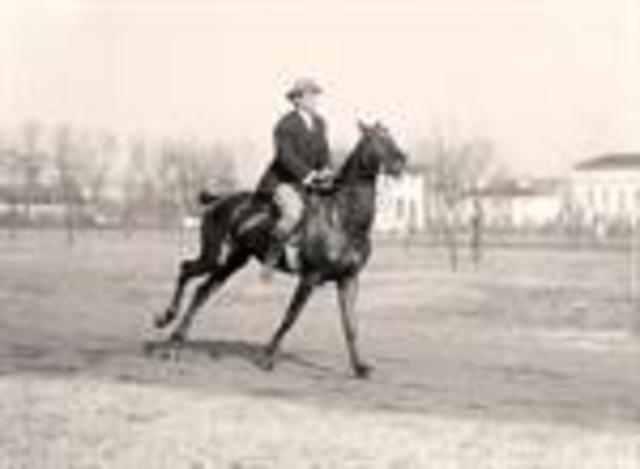 John Marshall reports the finding to John Sutter.