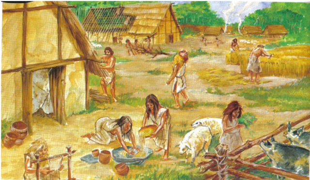 8000 a.C. Agricultura i ramaderia