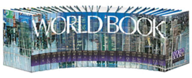 First computer encyclopedia