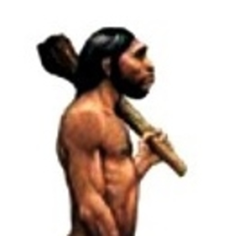 1900000 a.C. Homo erectus