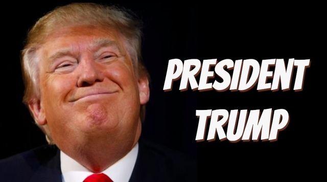 •	Donald Trump Elected President