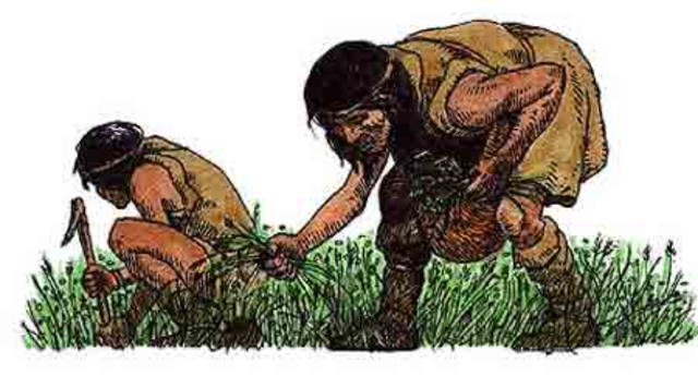 Agricultura (10000 a.C.)