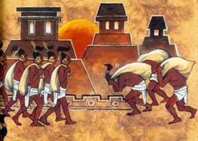 Adopción de una sociedad jerarquica