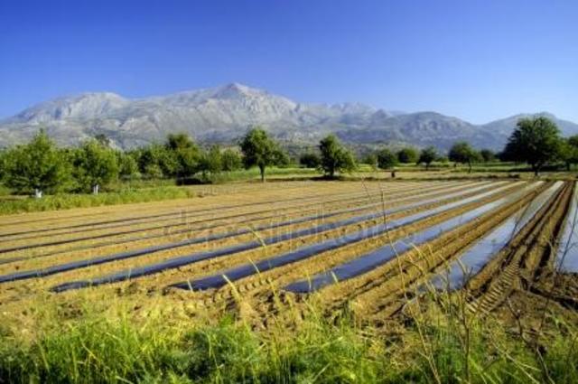 Paso de la economía naturalmente agrícola