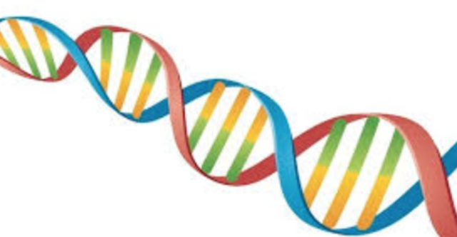 Watson, Crick, Franklin, Wilkins