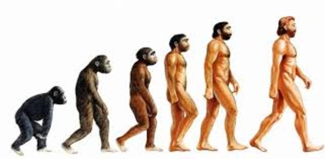 ......  Aparició humans...... Fa 2 milions d'anys