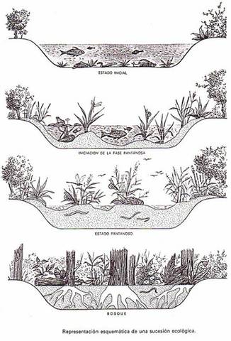 EL CLIMAX CLIMÁTICO