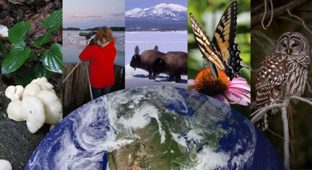 EVOLUCIÓN DE LOS ECOSISTEMAS DEL MILENIO