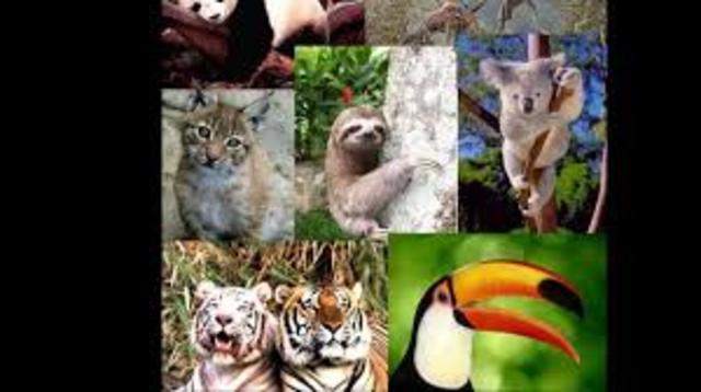 TEORIA MODERNA teoria de la Población Ecologica