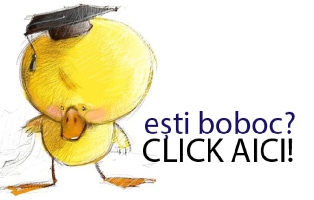 Repartizarea unui profesor debutant mentorului