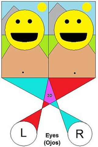 USO DEL ESTEREOSCOPIO EN EL AULA