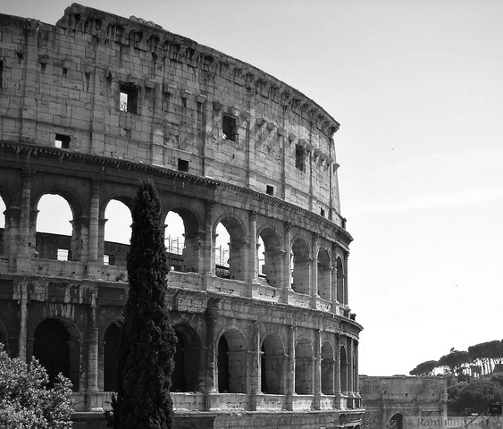 Roma