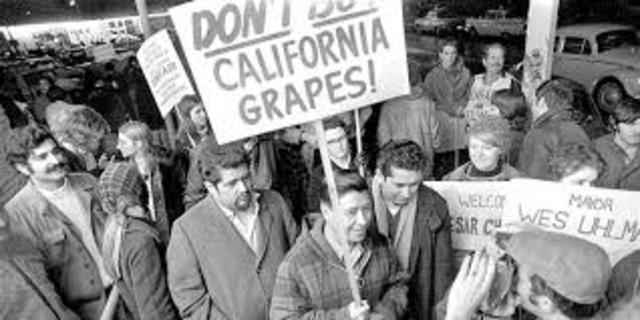 United Farm Worker's California Delano Grape Strike