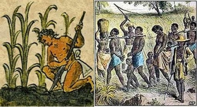 Época Grecolatina Siglo v