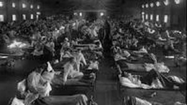 The Spanish Flu