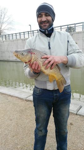 Nacimiento de su cuarto hijo