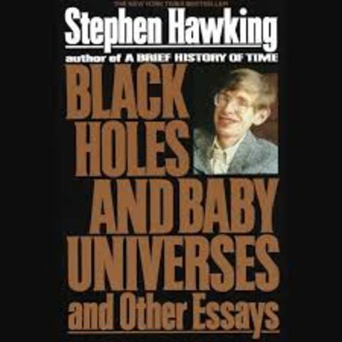 "Black Holes and Baby Universes"