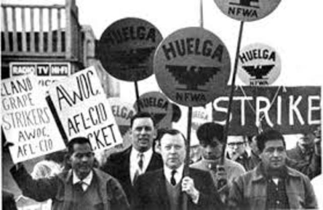 •	United Farm Worker’s California Delano Grape Strike (1965)