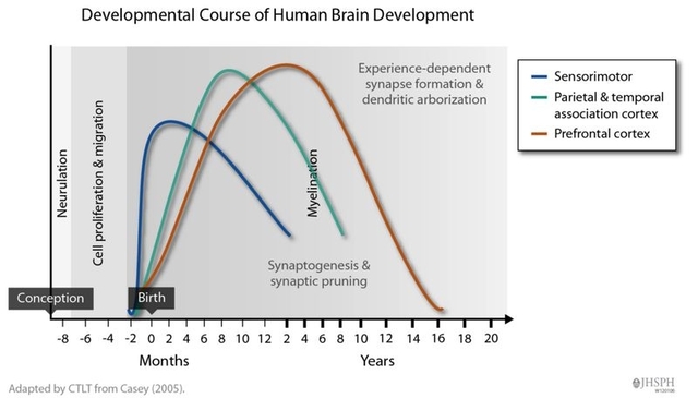 Facteur positif: environnement