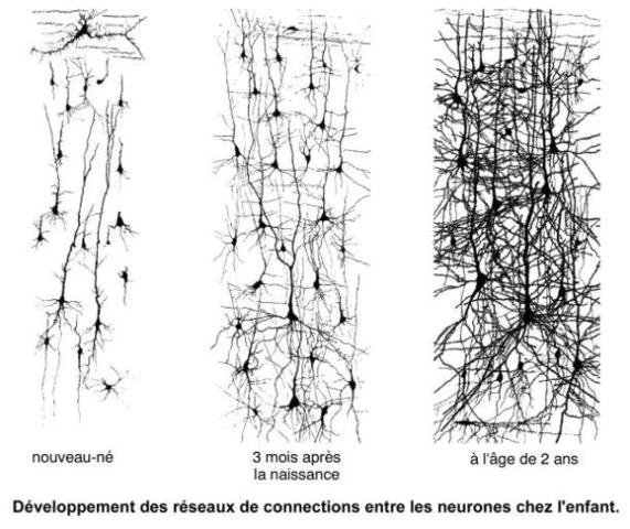 Facteur positif: activité physique