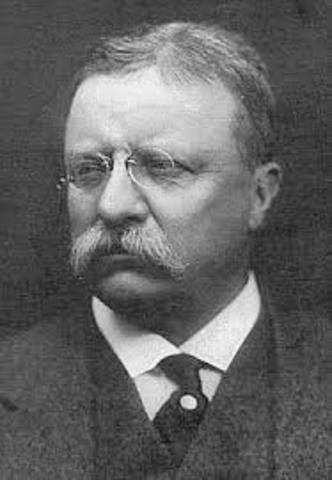Teddy Roosevelt