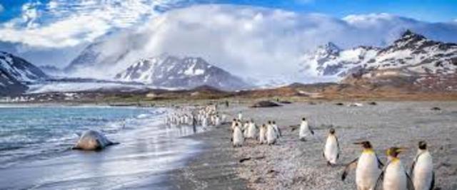 Argentina claims Falkland Islands