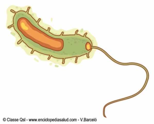 Surge una epidemia de cólera, decide ir a la Sierras