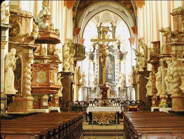 Le ofrecen la Cononía