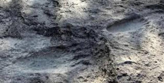 Primeras huellas del hombre en México