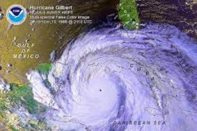 Hurricane Gilbert