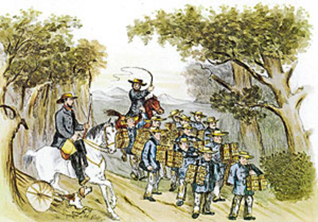 Van Diemen's Land continued.....