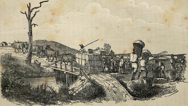 British abolished the African slave trade