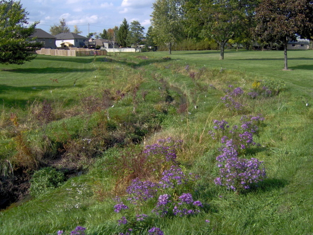 Mary Ingles is kidnapped from Drapers Medows