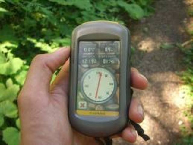 Las TIC en la naturaleza