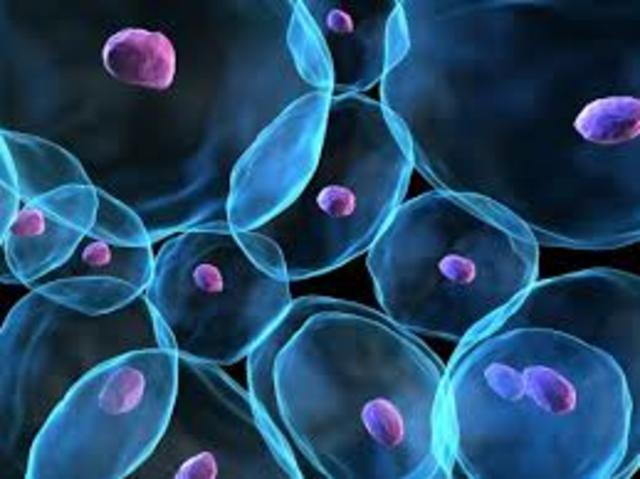 Ambito Ceintífico. Descubrimiento de la reprogramación celular.