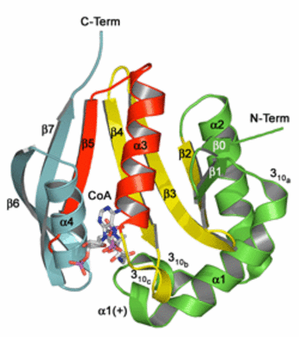 Teoria sobre la composicion de los Polimeros