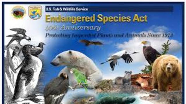 Engaged species Act
