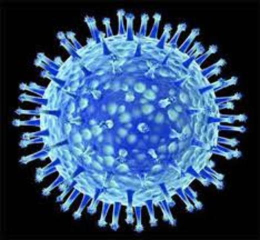 Evolução molecular
