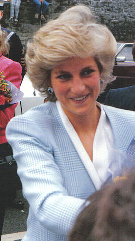 The Death of Diana, Princess of Wales