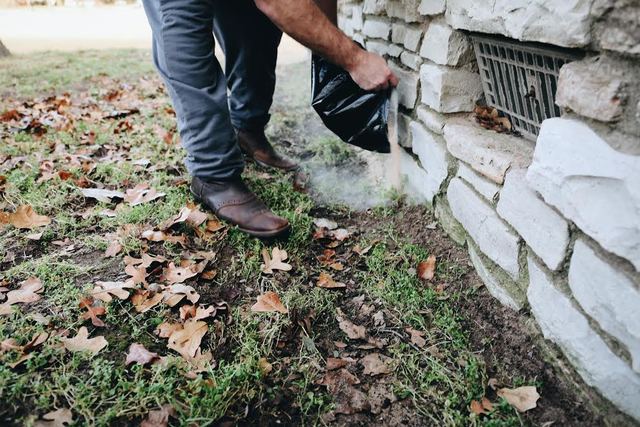 Lime around the house