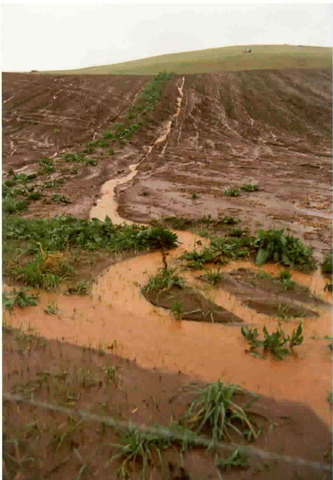 Quote - Chp. 17-18: High Place