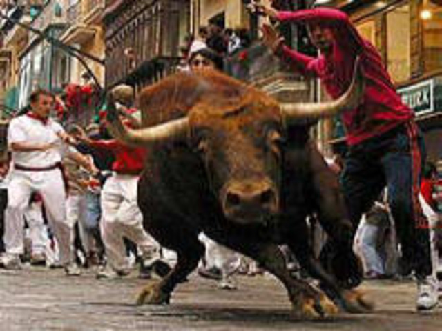 Pamplona