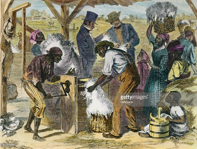Cotton Gin Eli Whitney patents his cotton gin