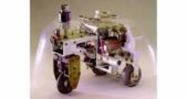 Tortue cybernétique