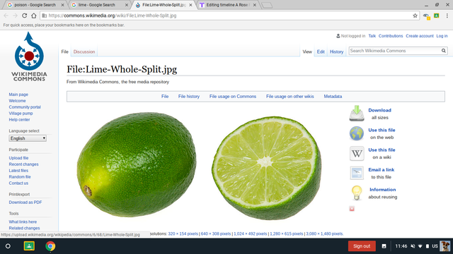 Men places lime around her house