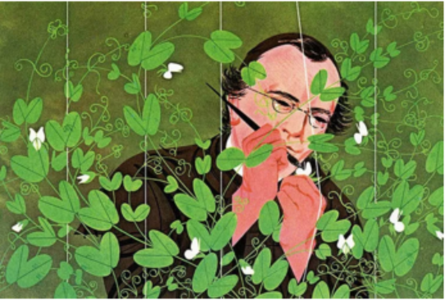 Gregor Mendel`s discover of Modern Genetics