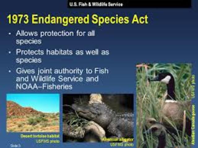 •	Engaged Species Act