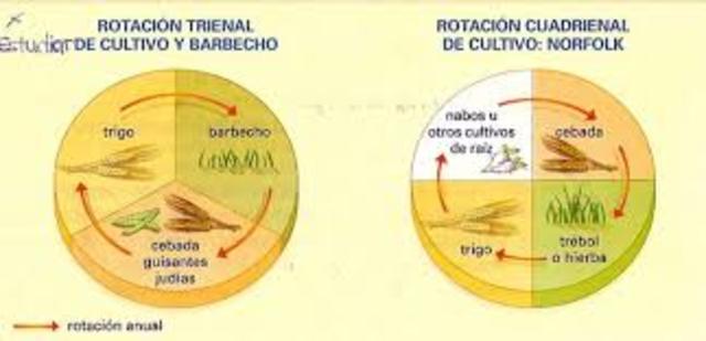 ROTACIÓN TRIENAL EN LOS CULTIVOS