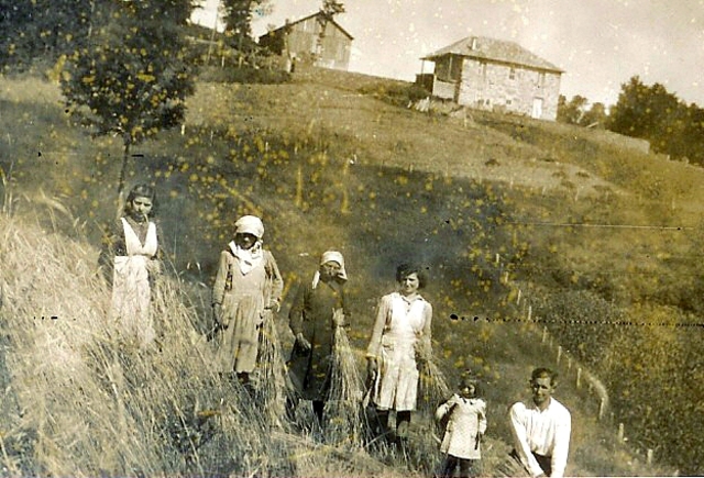 Ley de Reforma Agraria radical-cedista